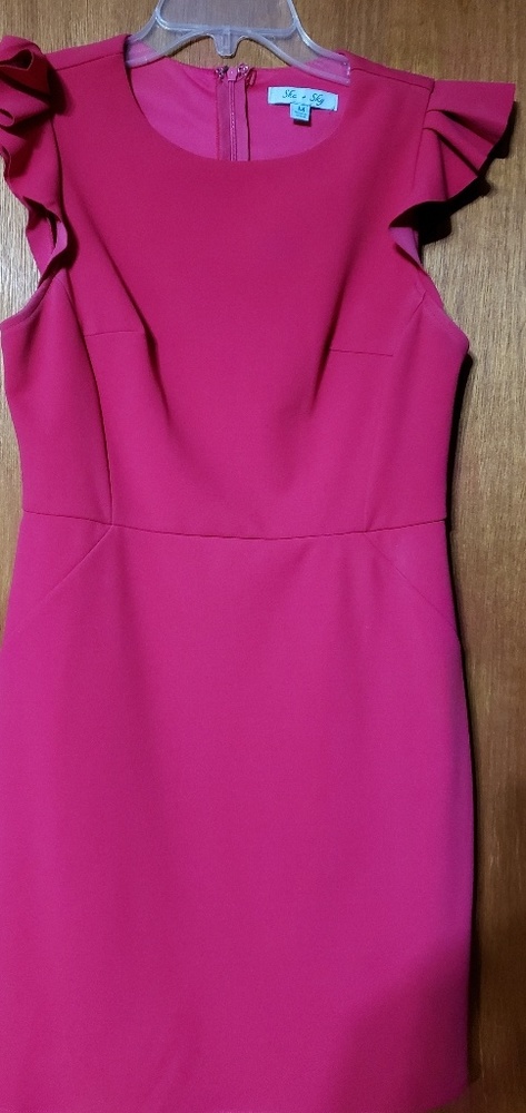 Ruffle Sleeve Dress